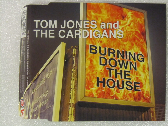 Tom Jones And The Cardigans • Burning Down The House CDM