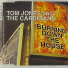 Tom Jones And The Cardigans • Burning Down The House CDM - pikkukuva 1