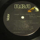 James Walsh Gypsy Band: LP    1978      Soul - pikkukuva 4