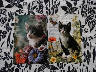 ~Kissa kortti~ 2kpl