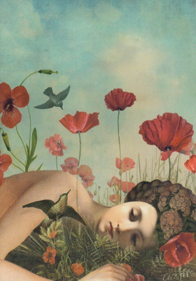 Catrin Welz-Stein: Unikkopelto