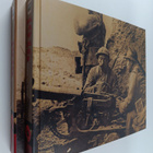 Julian Thompson ym. : 1916 blodbadets år - Verdun och Som... - pikkukuva 1