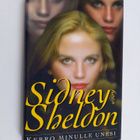 Sidney Sheldon : Kerro minulle unesi - pikkukuva 1