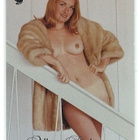 2003 Playboy Playmate of the Year #13 Allison Parks - pikkukuva 2