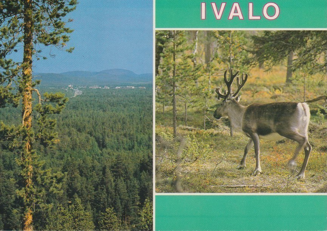 Ivalo