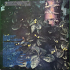 Jim Pembroke: Corporal Cauliflowers Mental Function LP 1977 - pikkukuva 2