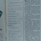 Pellervo No 15 syyskuu 1961 - pikkukuva 2