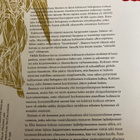 TERMIITTI VAI ENKELI - AJATUKSIA KULTTUURIEVOLUUTIOSTA - pikkukuva 2