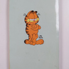 Jim Davis ym. : Karvinen - masentaako maanantai? - pikkukuva 2