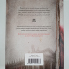 Jyrki Erra : Kaunasin sivut : kertomus - pikkukuva 2
