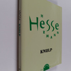 Hermann Hesse : Knulp : kolme kertomusta Knulpin elämästä - pikkukuva 1