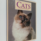 Anna Pollard : Cats - pikkukuva 1