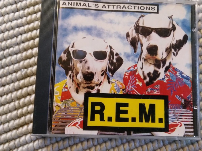 R.E.M.:ANIMAL`S ATTRACTIONS CD