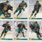 Cardset 2018-19 Series 1 Team Setit 12 korttia 3 EUR - pikkukuva 5