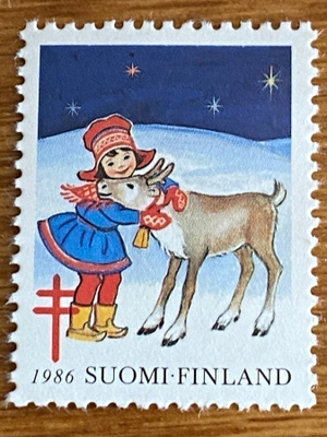 JOULUMERKKI PORO JA TYTTÖ**