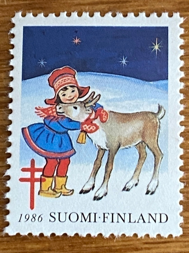 JOULUMERKKI PORO JA TYTTÖ**