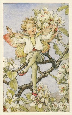 Cicely Mary Barker: Päärynäpuun keiju