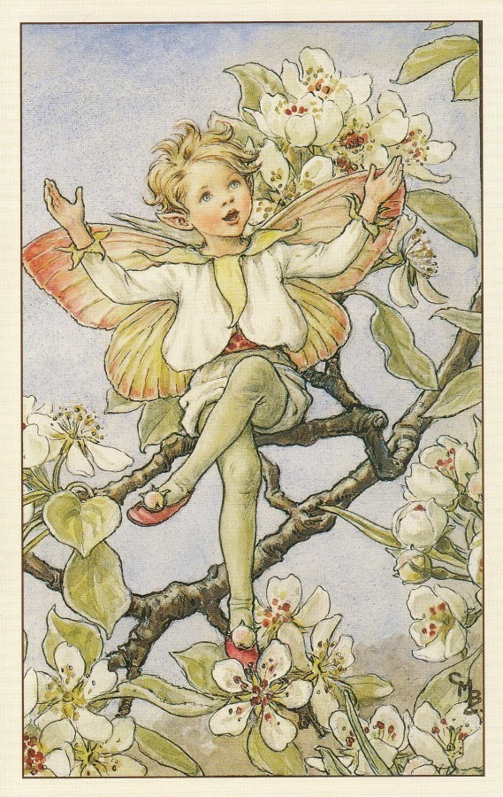 Cicely Mary Barker: Päärynäpuun keiju