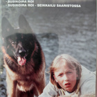 Susikoira Roi - kokoelma DVD - pikkukuva 1