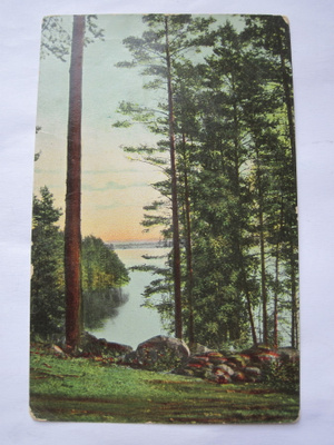 VANHA Postikortti Punkaharju 1909