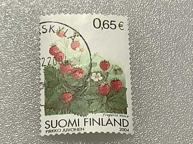 1698/ 2004 Ahomansikka o leimattu loisto