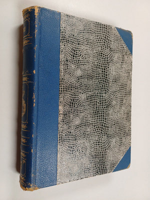 H.J. Boström : Sankarien muisto
