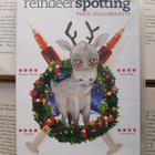Reindeerspotting: pako Joulumaasta (DVD) - pikkukuva 2