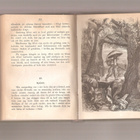 De Foe: Den verklige Robinson Crusoe’s lefverne och äfventyr - pikkukuva 2