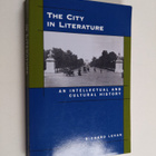 Richard Lehan : The city in literature : an intellectual ... - pikkukuva 1