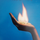 MIGHTY DIAMONDS : ICE ON FIRE LP - pikkukuva 1