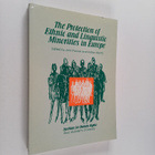 Kristian Myntti : The protection of ethnic and linguistic... - pikkukuva 1