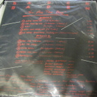 BADEN BADEN -YOU ARE THE ONE LP 1.PAINOS PUOLA '85 M-/EX+ - pikkukuva 2
