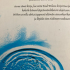 PAUL WILSON: PIENI MIELENRAUHAN KIRJA - pikkukuva 2