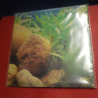 ELECTRIC BLUE PEGGY SUE - MUSIC FOR MC DONALDS M-/M- LP - pikkukuva 2
