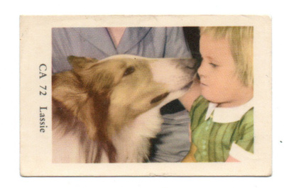 Purkkakuva CA n:o 72 LASSIE Purukumikuva.