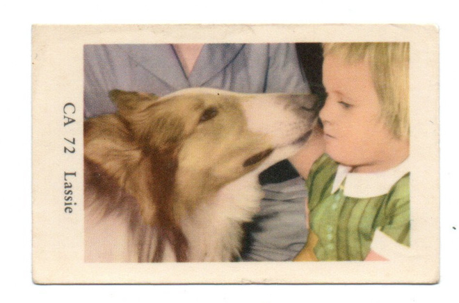 Purkkakuva CA n:o 72 LASSIE Purukumikuva.