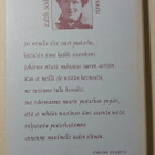 Edith Södergran - Hiljainen Puutarha - pikkukuva 2