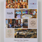 The Sri Lankan Pocket Guide : Volume 7 : Issue 42 - pikkukuva 2