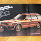 1981 Datsun 810 Maxima esite - iso - 12 sivua - KUIN UUSI - pikkukuva 1