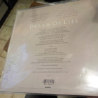 PATTI SMITH - DREAM OF LIFE EX/EX- LP NIMMARILLA - pikkukuva 2