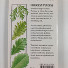Alan Fyson Mitchell : Euroopan puuopas - pikkukuva 2