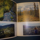 Matti Poutvaara: TORNIONLAAKSO (1.p.1964) Sis.postikulut - pikkukuva 3