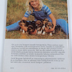 Astrid Bergman Sucksdorff : Saaran koiranpentu - pikkukuva 2
