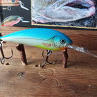 Bagley Balsa Shad 7cm - pikkukuva 1