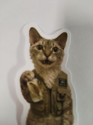Kissa tarra.