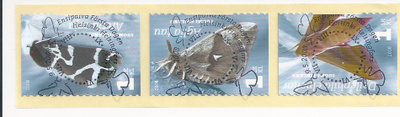 2007 Yöperhosia epleimattuna