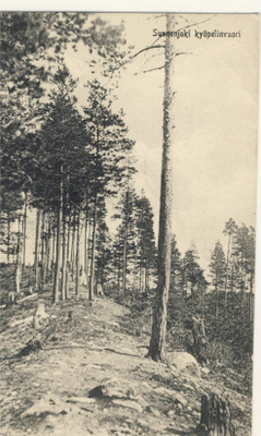 Suonenjoki Kyöpelinvuori