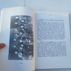 CASTREN - KARJALAN RATSUJÄÄKÄRIRYKMENTTI VIIPURISSA 1918-20 - pikkukuva 3