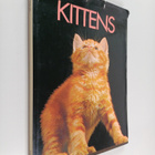 Pat Taylor : Kittens - pikkukuva 1