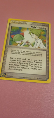 Wally's Training #89 Pokemon Sandstorm card